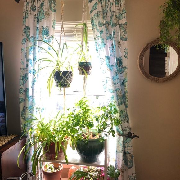 Teal Seashell coastal curtain panels, 2 pair (4 curtains total) - Picture 3 of 3